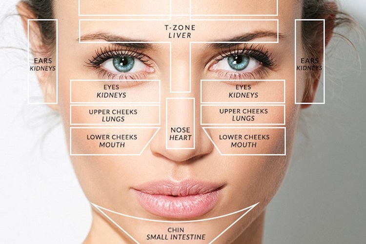 The Art Of Face Mapping What Your Skin Says About The Rest Of The Body